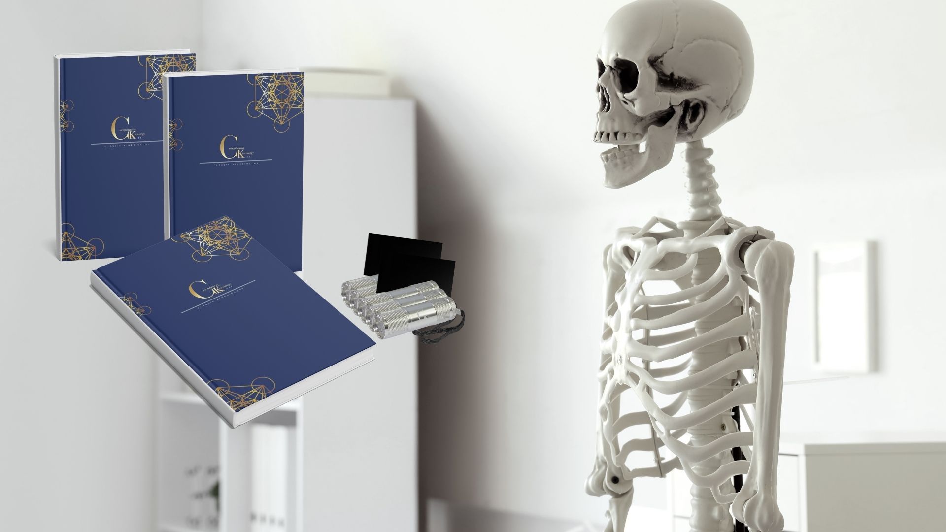 Larger images new site (16)