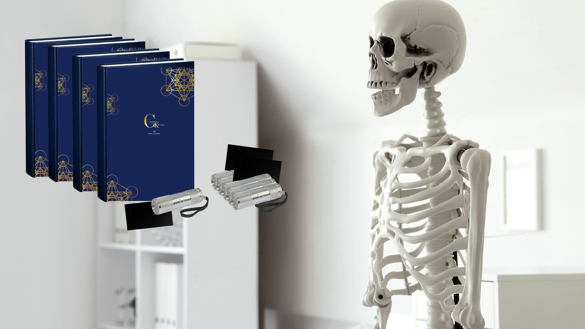 Larger images new site (17)