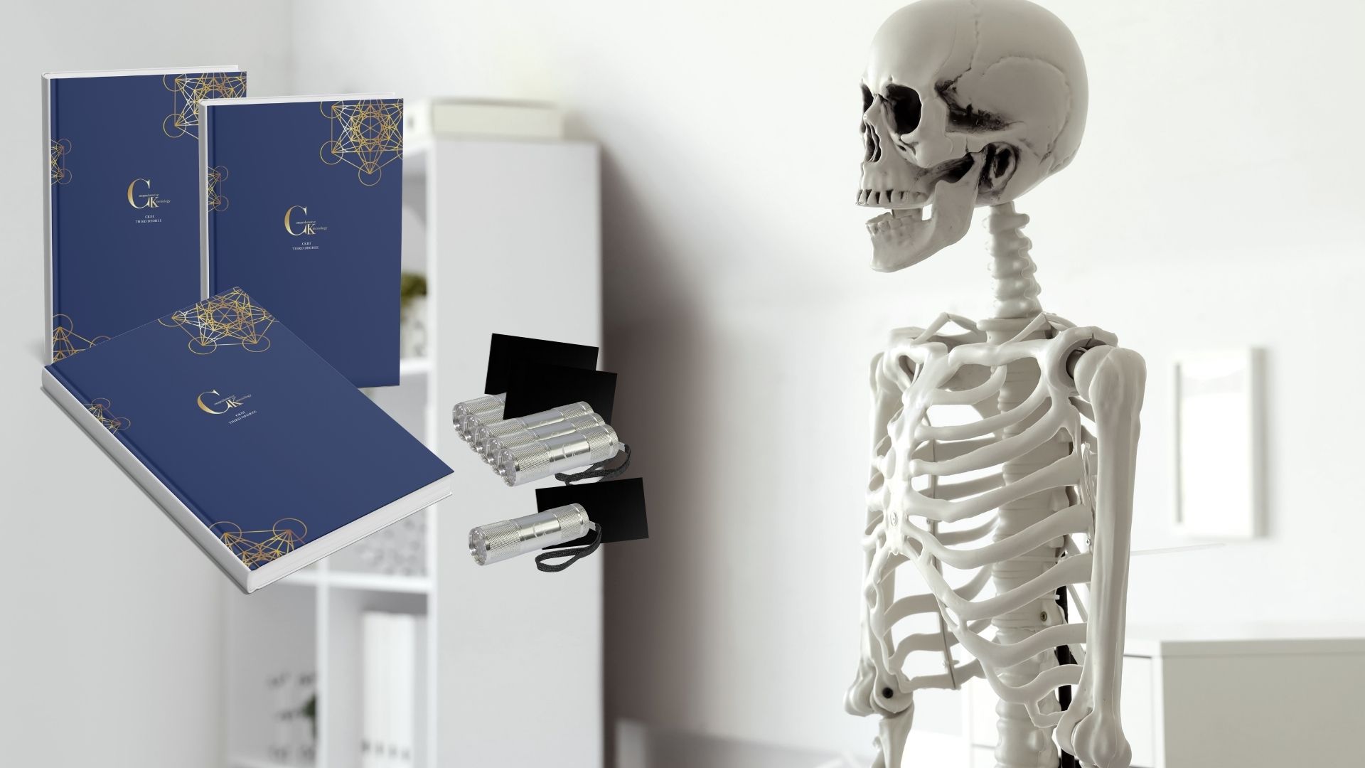 Larger images new site (19)